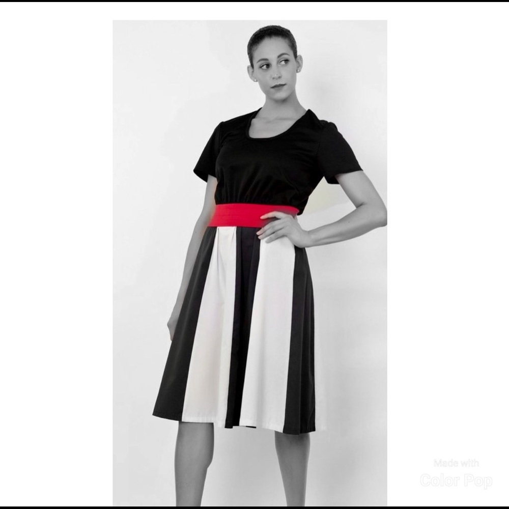 Vintage Color Block Dress
